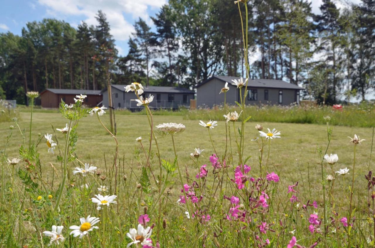 Hollicarrs - Sunflower Lodge York Bagian luar foto