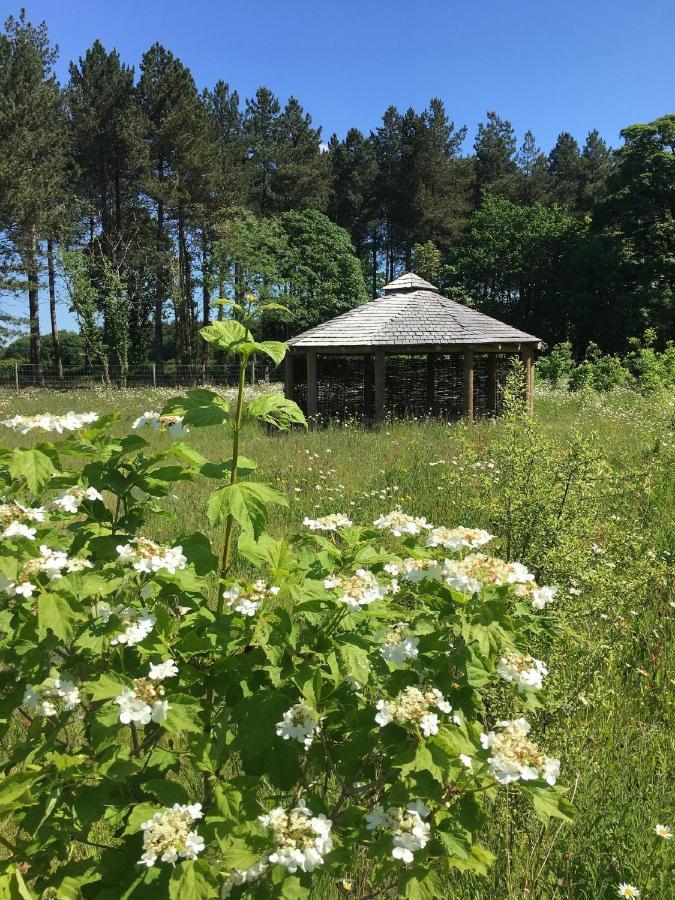 Hollicarrs - Sunflower Lodge York Bagian luar foto